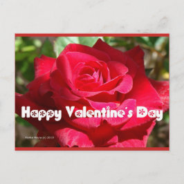 Rosa El día de San Valentín | Postal Blue Beach So