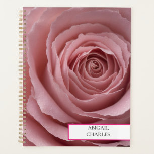 Rosa elegante, planificador de espiral negra