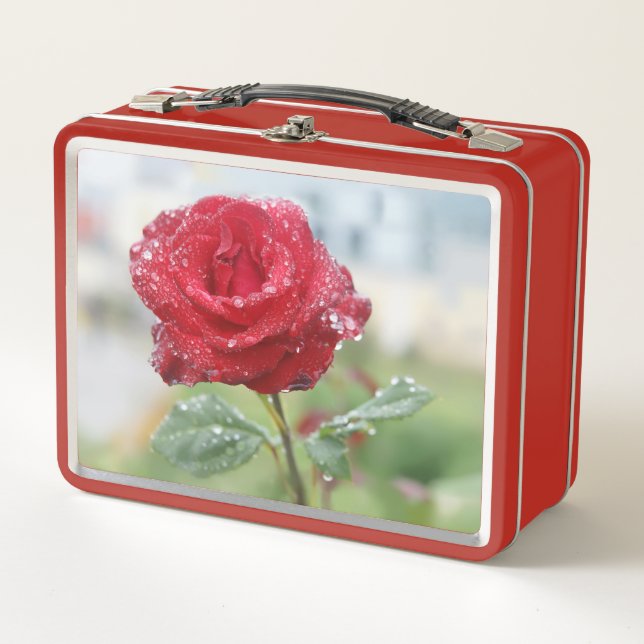 Rosa en gotas de lluvia  (Anverso)