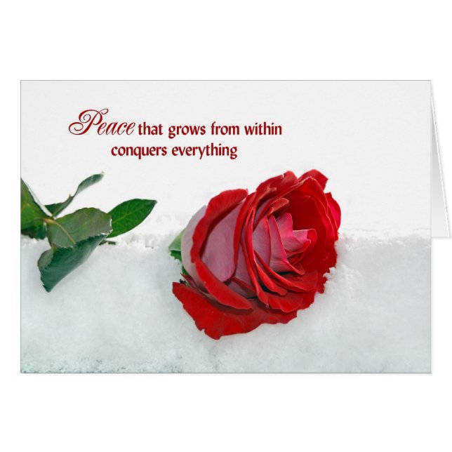 Rosa en invierno (Anverso (Horizontal))