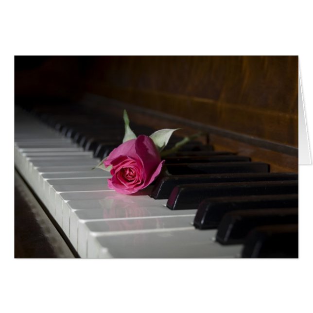 Rosa en piano (Anverso (Horizontal))