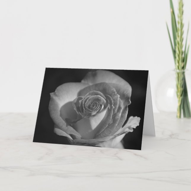 Rosa en tarjeta blanca y negra (Anverso)