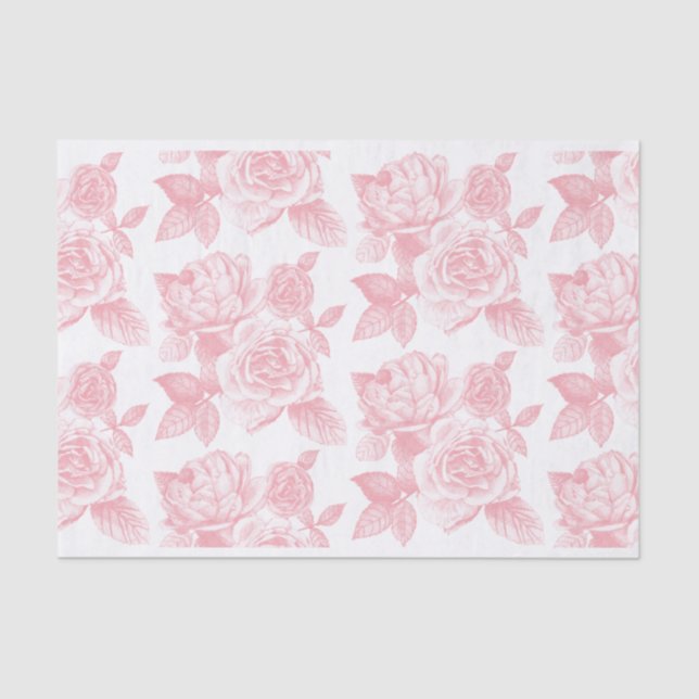 Rosa esbozar papel de tejidos en rosa (Anverso)