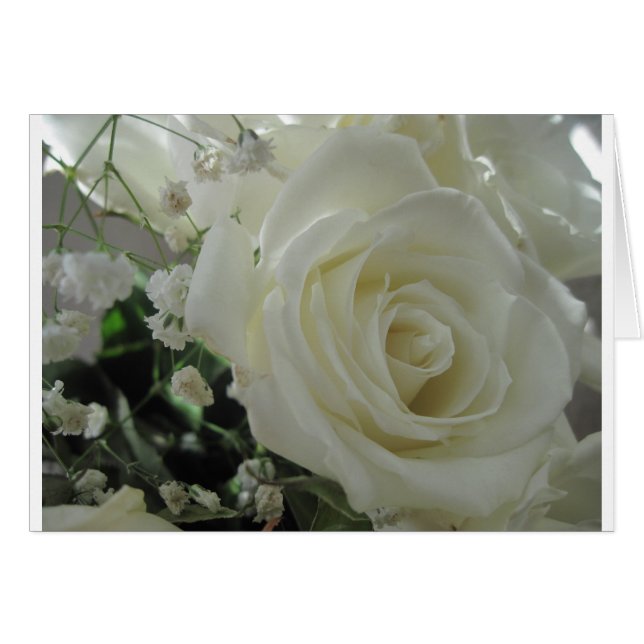 Rosa Floral (Anverso (Horizontal))