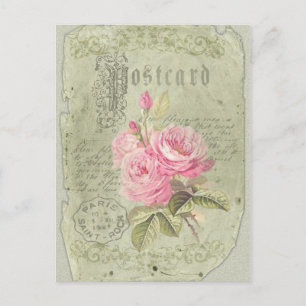Rosa francés - postal