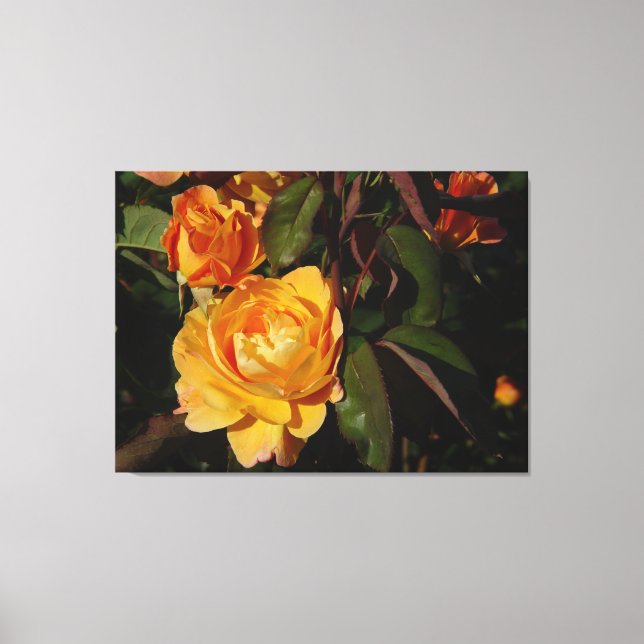 Rosa Grandiflora Enriquece En Lienzo (Anverso)