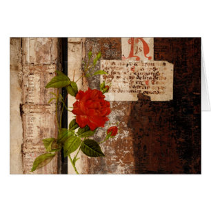 Rosa Grunge