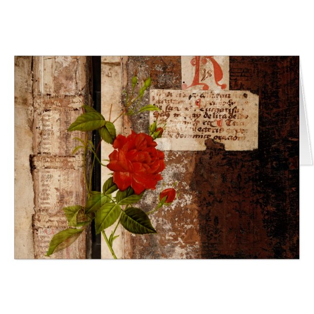 Rosa Grunge (Anverso (Horizontal))