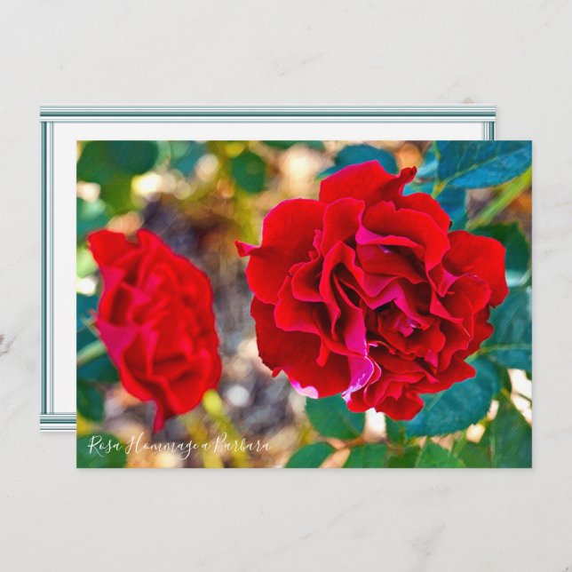 Rosa Hommage a Barbara: Flat Card (Anverso / Reverso)