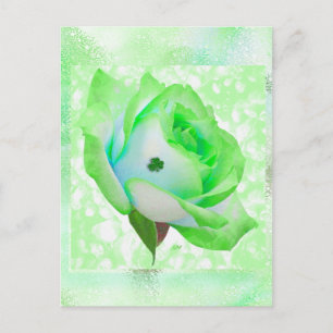 ¡rosa irlandés y aniversario! Tarjeta