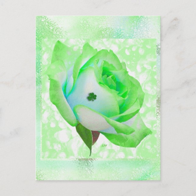 ¡rosa irlandés y aniversario! Tarjeta (Anverso)