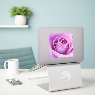 Rosa morado cerrar Pegatina de arte grande