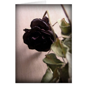 Rosa Muerta Gótica