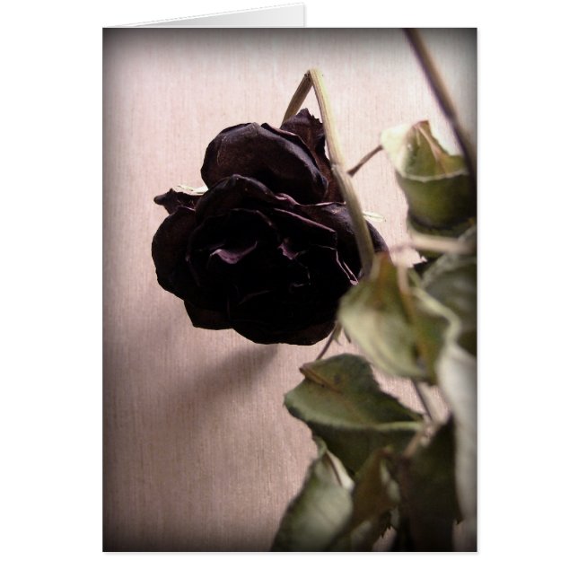 Rosa Muerta Gótica (Frente)