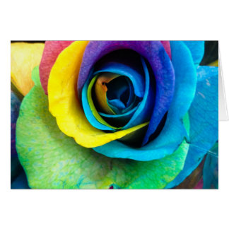 Rosa multicolor por parte de SnapDaddy, puede pers
