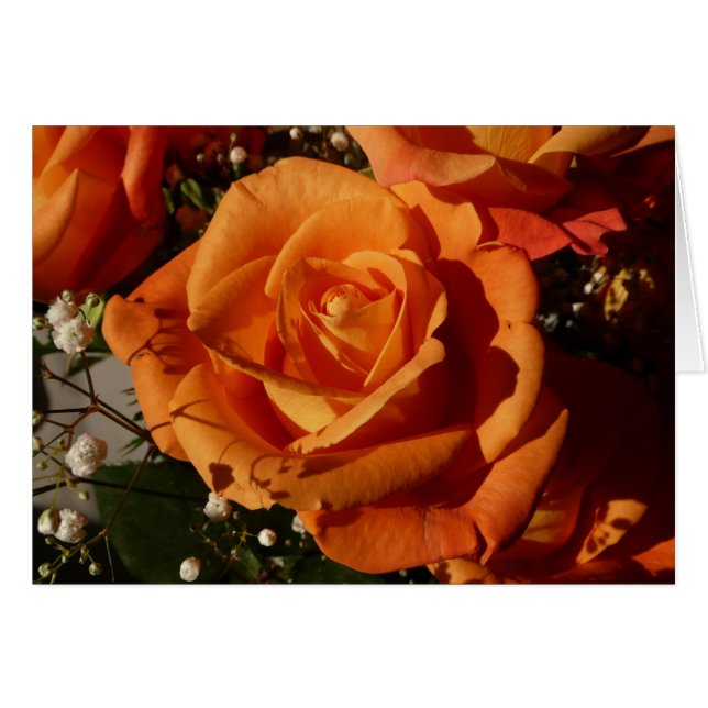 rosa naranja (Anverso (Horizontal))