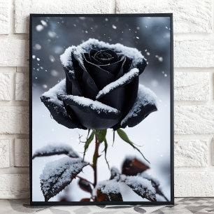 Rosa negro en nieve - Impresión de arte floral de 