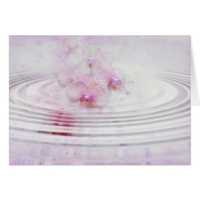 Rosa orquídea (Anverso (Horizontal))