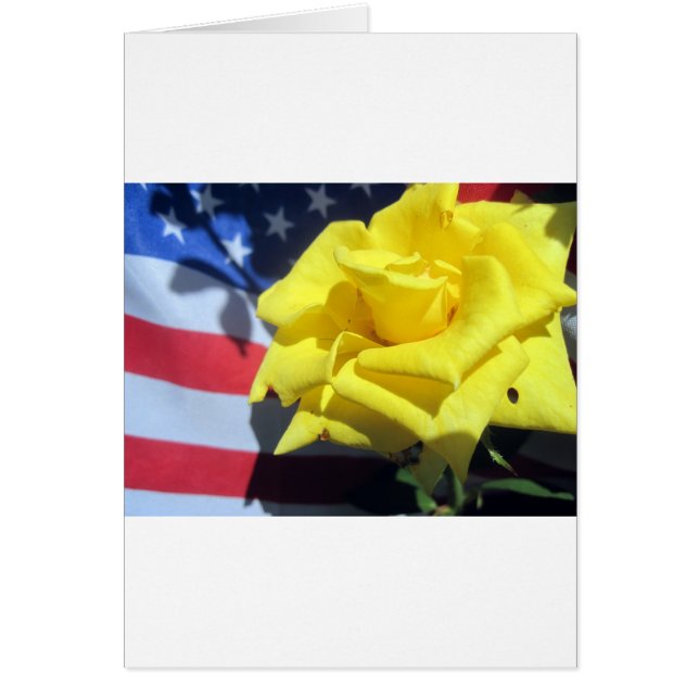 Rosa patriótico (Frente)