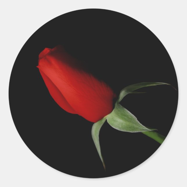 Rosa Pegatinas de Bud - Sello para sobres Boda (Anverso)