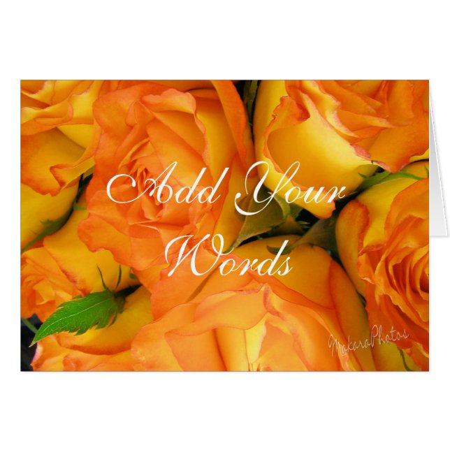 Rosa-personalizar bicolor amarillo (Anverso (Horizontal))