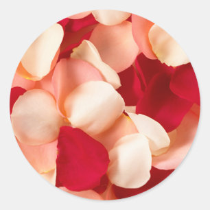 Rosa Petal Pegatinas