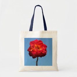 Rosa Phoenix en la bolsa de Sky