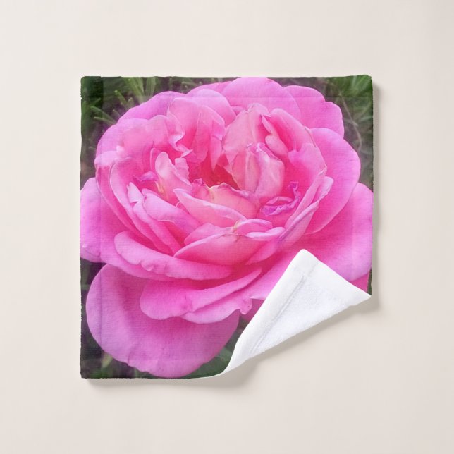 Rosa Pink 'Leonardo Da Vinci'   (Toallita)