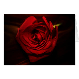 "rosa" por Larry Coressel