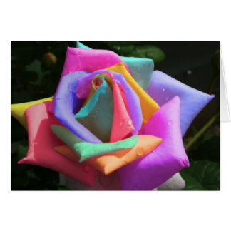 Rosa psicodélico arcoiris
