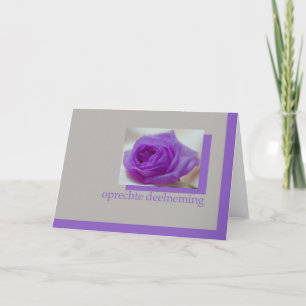 rosa púrpura en tarjeta de simpatía gris holandesa