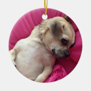 Rosa querido del ornamento del navidad del perro