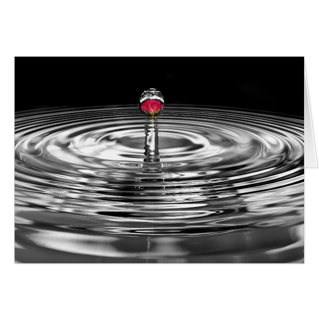 Rosa rizado (Anverso (Horizontal))