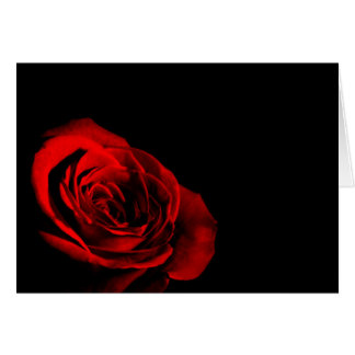 Rosa Roja