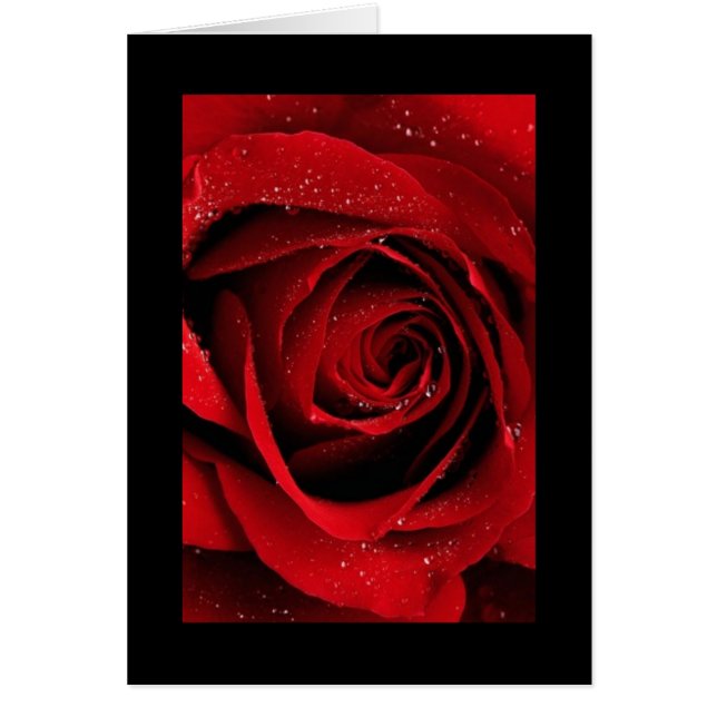 Rosa Roja (Frente)