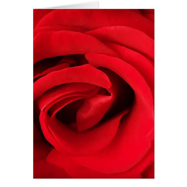 Rosa Roja (Frente)