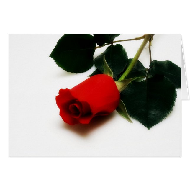 Rosa Roja (Anverso (Horizontal))