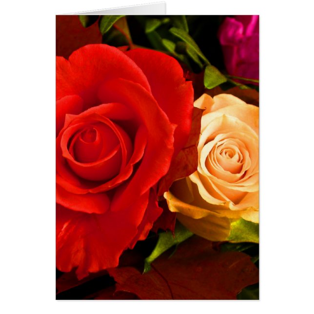 Rosa roja amarilla (Frente)