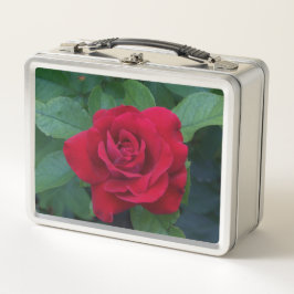 Rosa Roja de Cerca