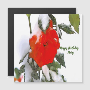 Rosa roja en imán de nieve