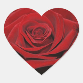 Rosa roja - Herzförmige pegatina