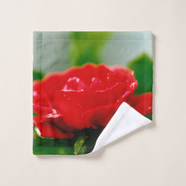 Rosa roja matutina cubierta de rocío