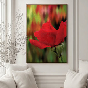 Rosa Roja Moderna de Alta Definición Arte Botáni