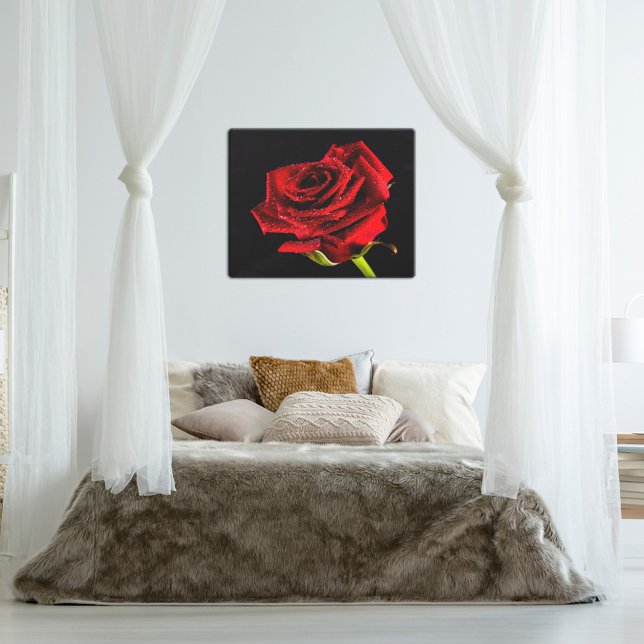 Rosa roja sobre negro con gotitas de agua lienzo f (Subido por el creador)