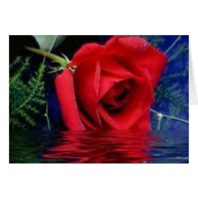Rosa rojo (Anverso (Horizontal))