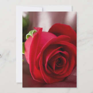 rosa rojo 5" x 7" Tarjeta básica