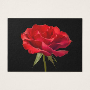 Rosa rojo con descenso de rocío en personalizado