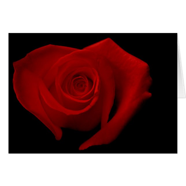 Rosa rojo en negro (Anverso (Horizontal))