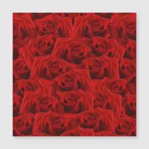 Rosa Rojo Romántico