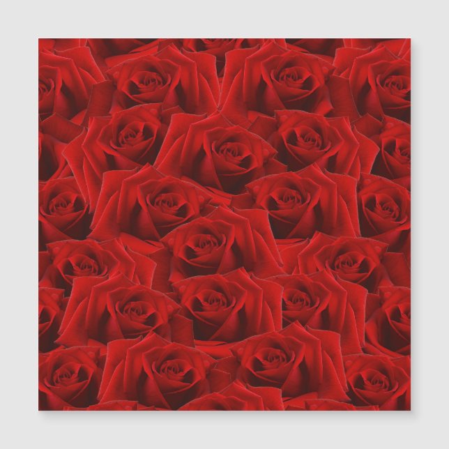 Rosa Rojo Romántico (Anverso)